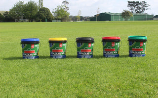5 REASONS FLEET PAINTS OUTSHINE THE COMPETITION