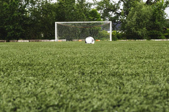 Soccer Ball by Net